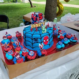 Spiderman cake and cupcakes for my 5 year old