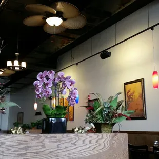 Thought the fan was a great piece to put with there theme and decoration. Caught my attention