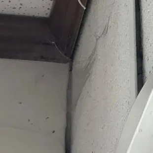 Spider webs in corners