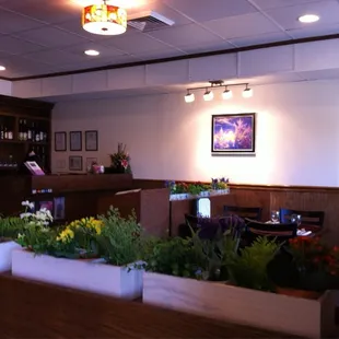 interior, sushi and sashimi