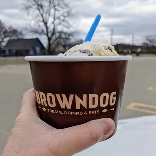 Two flavors on a cold day: Salted caramel ice cream with pecans and Holy Cone-oli with waffle cone pieces. Both were very good.