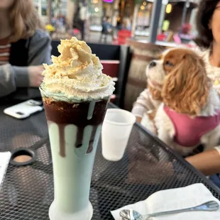 a dog and a cup of ice cream