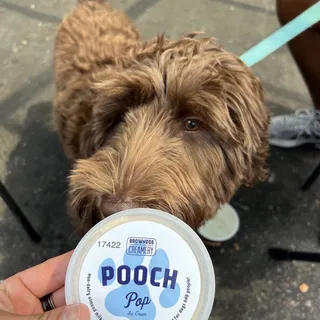 Pooch Pop