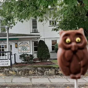 Chocolate owl pop