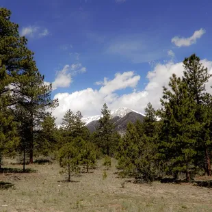 Great mountain views through the trees.