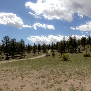 View of the nearest campsite to ours (it&apos;s at the top of that hill to the left of the road).