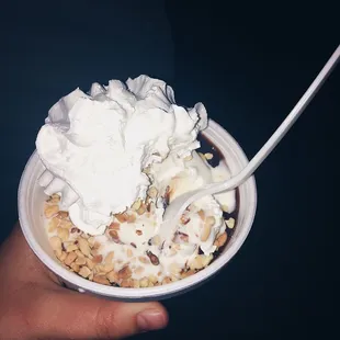 Hot fudge brownie sundae. I'm obsessed.