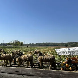 Cute decorations to see while on the hayride