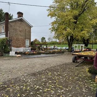a woman holding a basket of pumpkins