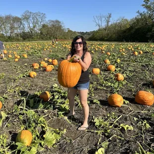 Pumpkin patch
