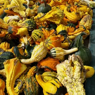 Gourds 0.75 ea