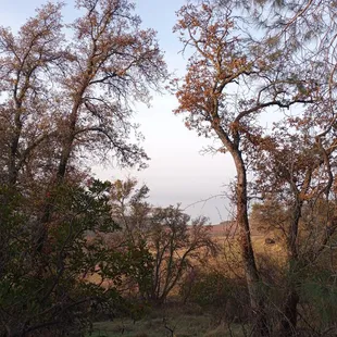 So foggy you can barely make out Mormon Island!