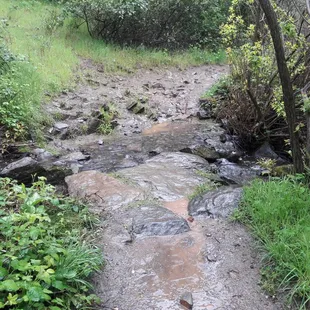 creek crossing on hiking trail in light rain