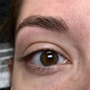 Eyebrow