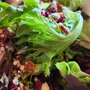 Gorgonberry Salad