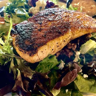 Blackened Salmon Salad