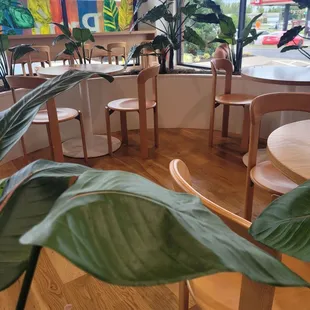 Relaxing and serene interior