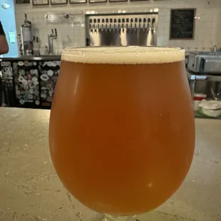 Pumpkin beer-so yummy!!