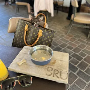 Pets at Bru dine in style too!