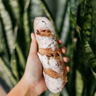 Cranberry Walnut Baguette
