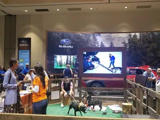 Jacksonville International Car & Truck Show