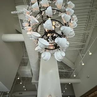 Tea Cups Light Fixture