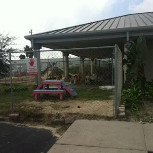 outdoor play area-- dogs waiting to see who is coming next!