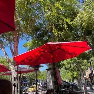 Enjoying lunch outdoors