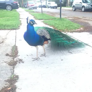 outside