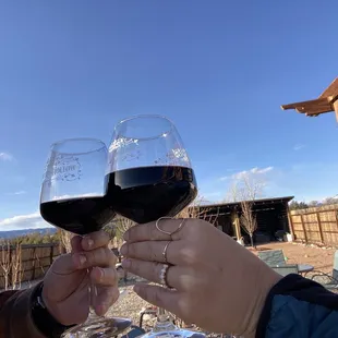 two people toasting wine glasses