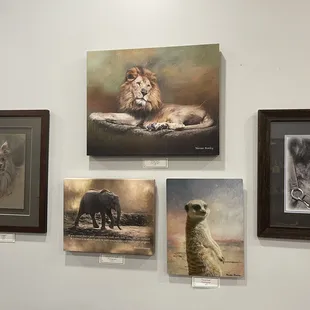 a variety of wildlife paintings