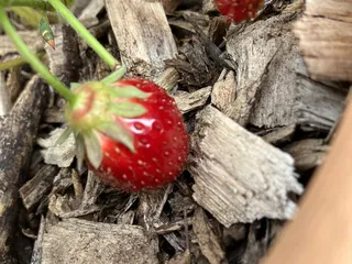 De Fer Coffee & Tea - Troy Hill