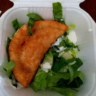 Chicken Empanada