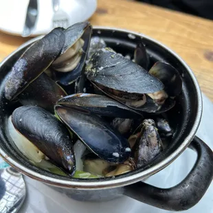 Mariniere Mussel