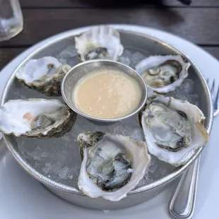 Oysters