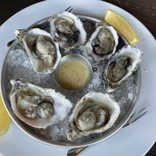 Oysters