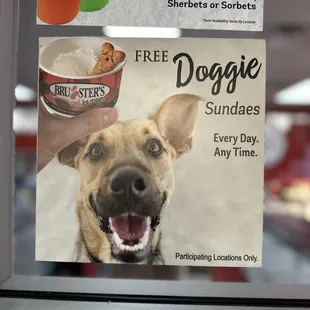 Free Doggie Sundae