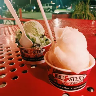 Mint Chocolate Chip and Lemon.