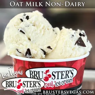 Our delicious, non-dairy Coconut Chip ice cream made with our vegan Oat Milk.  Exclusively at Bruster&apos;s.