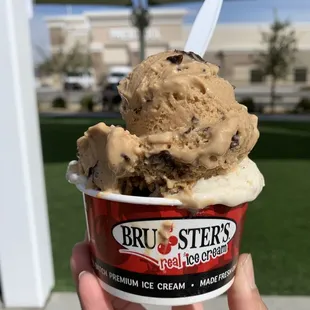 Coffee chocolate chip and PB Oreo. Both oatmilk based and completely delicious!