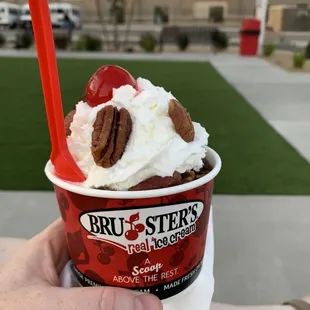 Turtle sundae