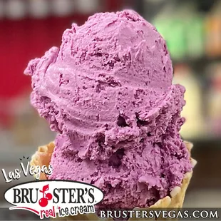 UBE Ice Cream - Made Fresh and Delicious at Bruster&apos;s