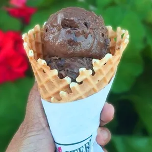 a hand holding a waffle cone
