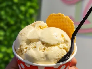 Sweet Spot Ice Cream Cafe