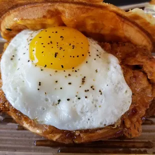 Bacon Egg and Cheddar