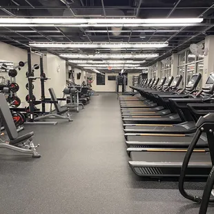 Cardio and Squat Racks