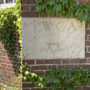 a brick wall with ivy growing on it