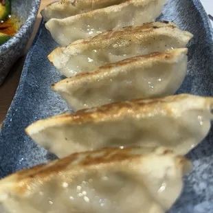 Chicken Dumplings