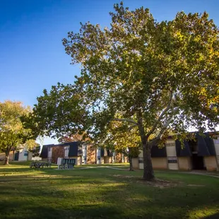 Come live on 6.5 acres of gently rolling park-like grounds with large shady trees.