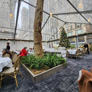 outdoor dining area with christmas tree
